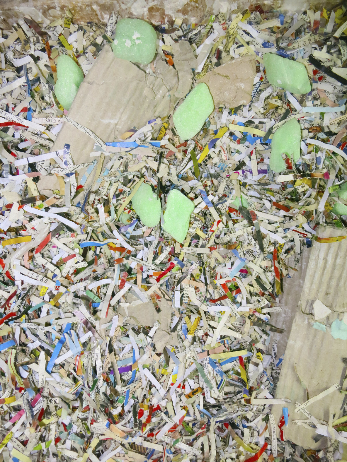 Multicolor shredded confetti paper stock photo (213284